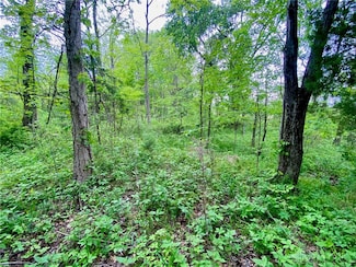 21 ac Patton Rd, Winchester, OH 45697