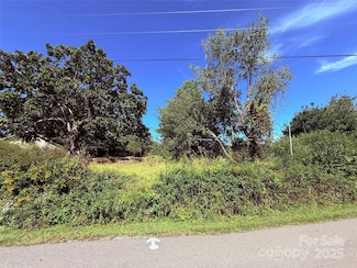 0 Paul Shuping Ave, Morganton, NC 28655