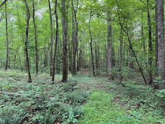 0 Brewster Field Rd Unit 7664244, Cedartown, GA 30125