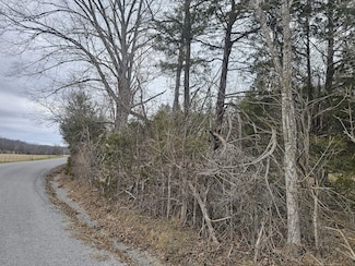2 Love Branch Rd Tract 2, Hampshire, TN 38461