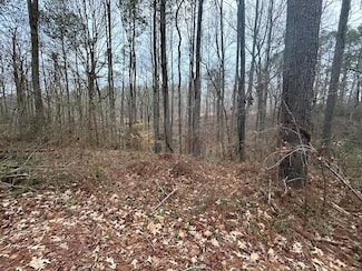 1089 Damascus Rd, Ball Ground, GA 30107