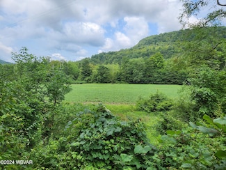 0 Pennsylvania 87 Unit LOT 2 WB-99675, Forksville, PA 18616