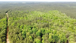 County Road 369, Burnsville, MS 38833