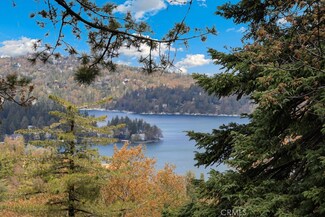 529 Dover Ct, Lake Arrowhead, CA 92407