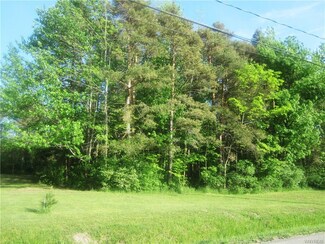 v/l Black Rd, Evans, NY 14047