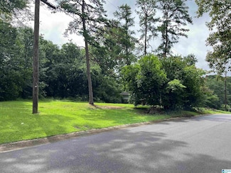 1609 4th Way NW Unit 11, Center Point, AL 35215