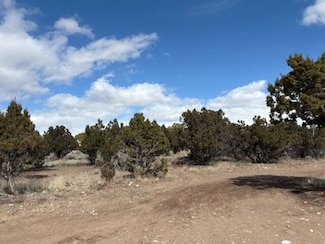 0 Parcel #01-0080-0026 Unit 110250, Beaver, UT 84713