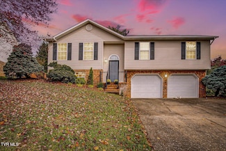 1040 Morrell Ct, Kingsport, TN 37664