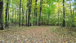 3395 Needles Dr Unit Lot 26, Harbor Springs, MI 49740