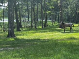 7139 Purrysburg Rd, Hardeeville, SC 29927