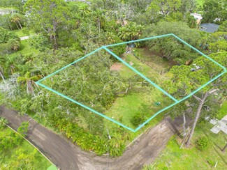4942 Camellia Way S, St. Petersburg, FL 33705