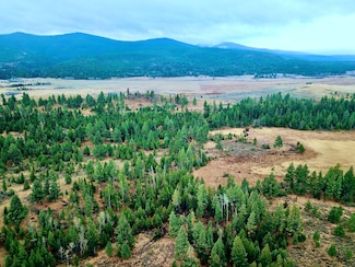 123 Strandskov, Lincoln, MT 59639