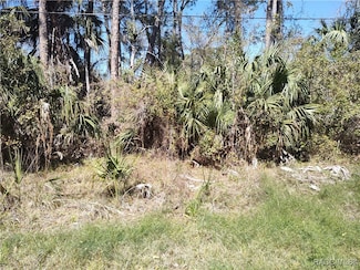 8213 W Ox Eye Place, Homosassa, FL 34448