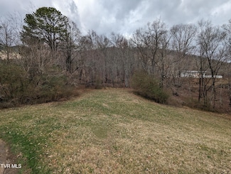 Tbd Dogwood St, Weber City, VA 24290