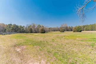 3 Counts Ferry Rd, Lexington, SC 29072