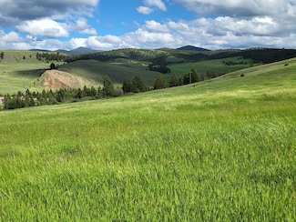 65 Gold Coin Rd, Hall, MT 59837