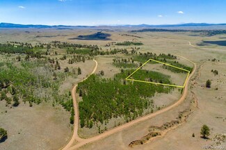 Lot 2167 Caddo Rd Unit 2167, Hartsel, CO 80449