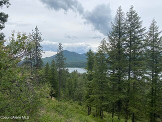 L4 Blacktail Rd, Cocolalla, ID 83813