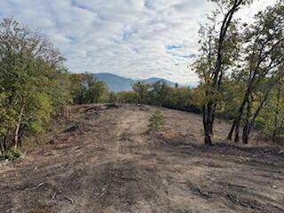 0 Merlin Sanitarium Rd Unit Lot 11, Merlin, OR 97532