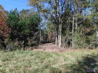 X7B Louisiana 955, Ethel, LA 70730