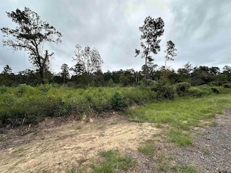 TBD Fm 2022 (3 62+ -Ac), Grapeland, TX 75844