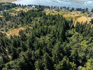 0 nhn Samish Island Rd, Bow, WA 98232