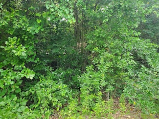 0 Highway 127 Farr Rd, Kathleen, GA 31047
