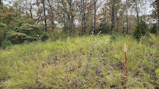 Lot 40 Bluffview Place, James Creek Township, AR 72634