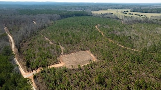 0 (Lot 3B) State Route 18, Pine Mountain, GA 31822