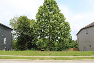 182 Country Ridge Way, Branson, MO 65616