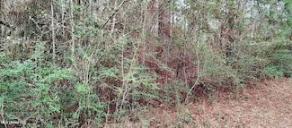 NHN Tuscon St, Lumberton, MS 39455
