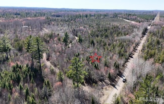 TBD37 King Lake, Covington, MI 49919
