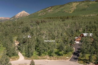 57 Peeler Ln, Crested Butte, CO 81224