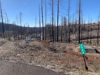 4948 Edgewood Cir, Grizzly Flats, CA 95636