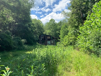 699 Allen Run Rd, West Union, WV 26456