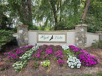 217 High Vista Dr, Mills River, NC 28759