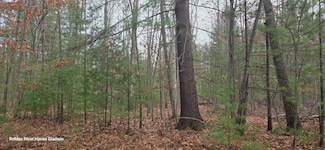 2.17 Acres N Branch Dr Unit Woodview Pass VL, Beaverton, MI 48612