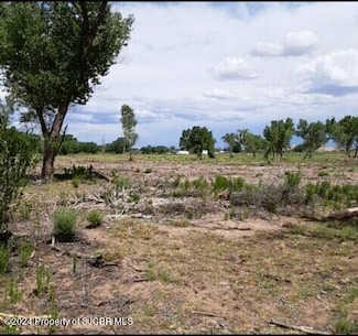 X Road 5195, Bloomfield, NM 87413