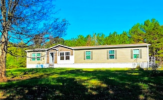 350 George Ln, Michie, TN 38357