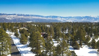 1960 Marmot Dr Unit 563, Ridgway, CO 81432