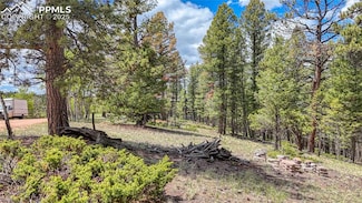 26 N Eldorado Cir, Florissant, CO 80816