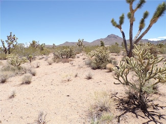 Lot 352 Palo Alto Dr, Dolan Springs, AZ 86441