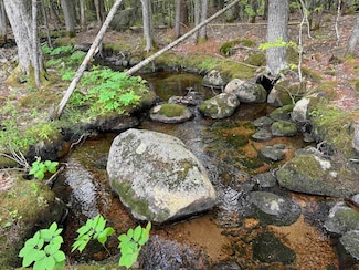 512 Deer Hill Rd, Madison, NH 03875