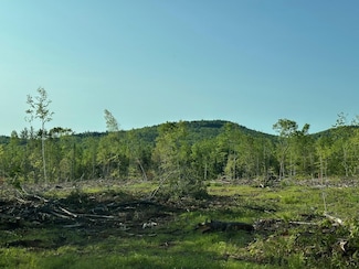 00 Thurley Rd, Ossipee, NH 03814