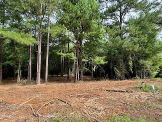Lot 413 Willow Lake Dr, Leesburg, GA 31763
