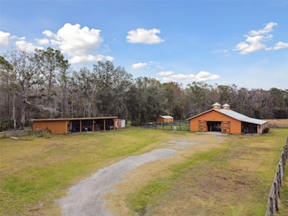 25723 Armenian Ln, Wesley Chapel, FL 33544