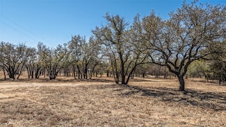 1900 Coleman Ranch Rd, Tolar, TX 76476