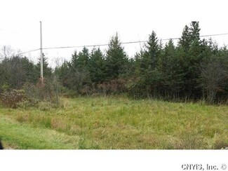 19088 Tubolino Rd, La Fargeville, NY 13656