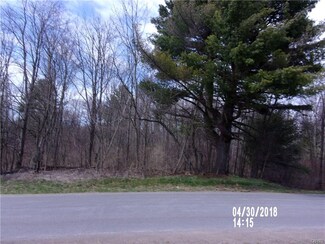 0 Potter Rd, Mexico, NY 13114