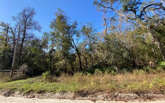 LOT45 79th Dr, Jasper, FL 32052